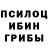 Псилоцибиновые грибы Psilocybine cubensis s. swan